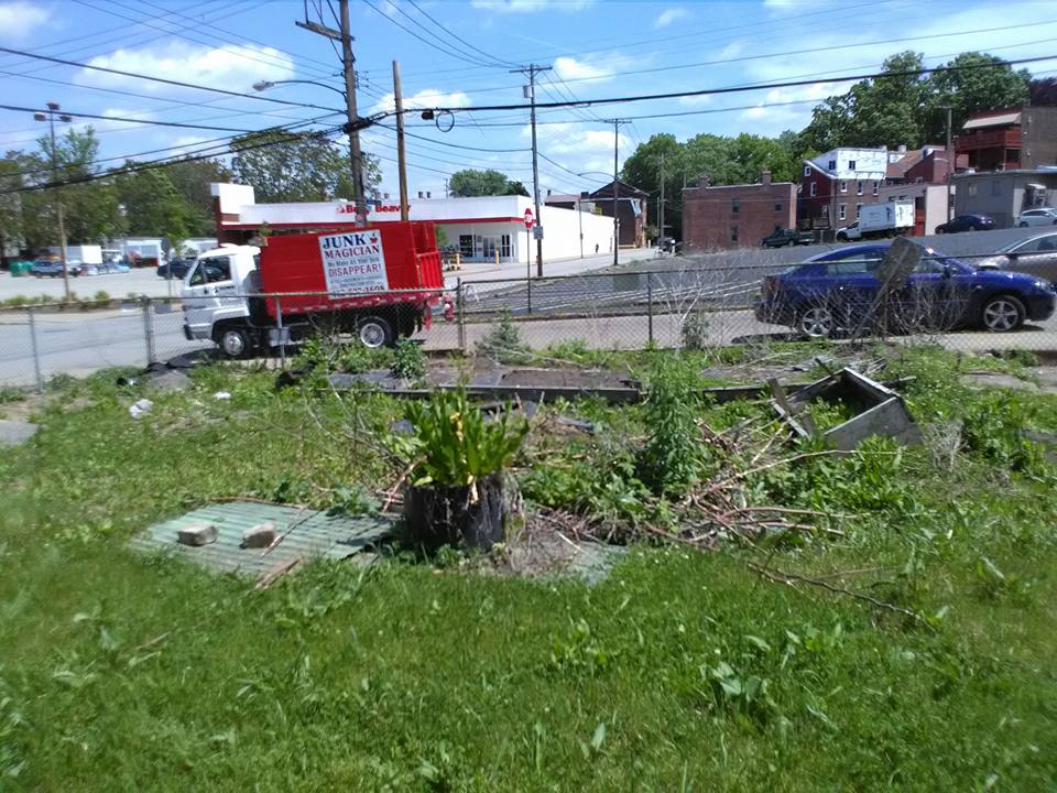 Yard Waste and Debris — Pittsburgh, PA — Junk Magician