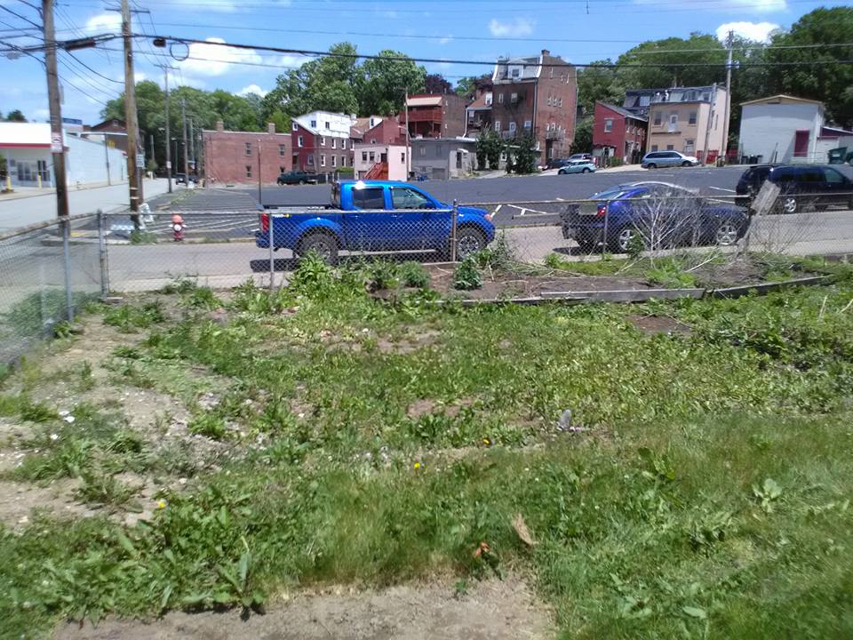 Yard Cleanout — Pittsburgh, PA — Junk Magician