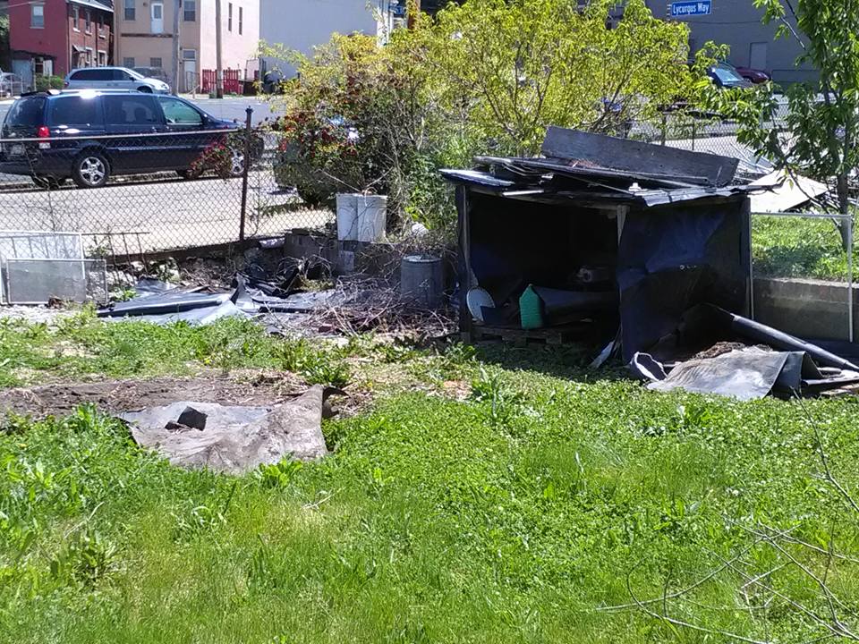 Yard Waste — Pittsburgh, PA — Junk Magician