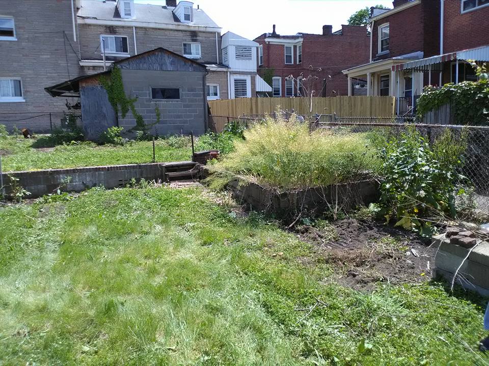 Back Yard — Pittsburgh, PA — Junk Magician