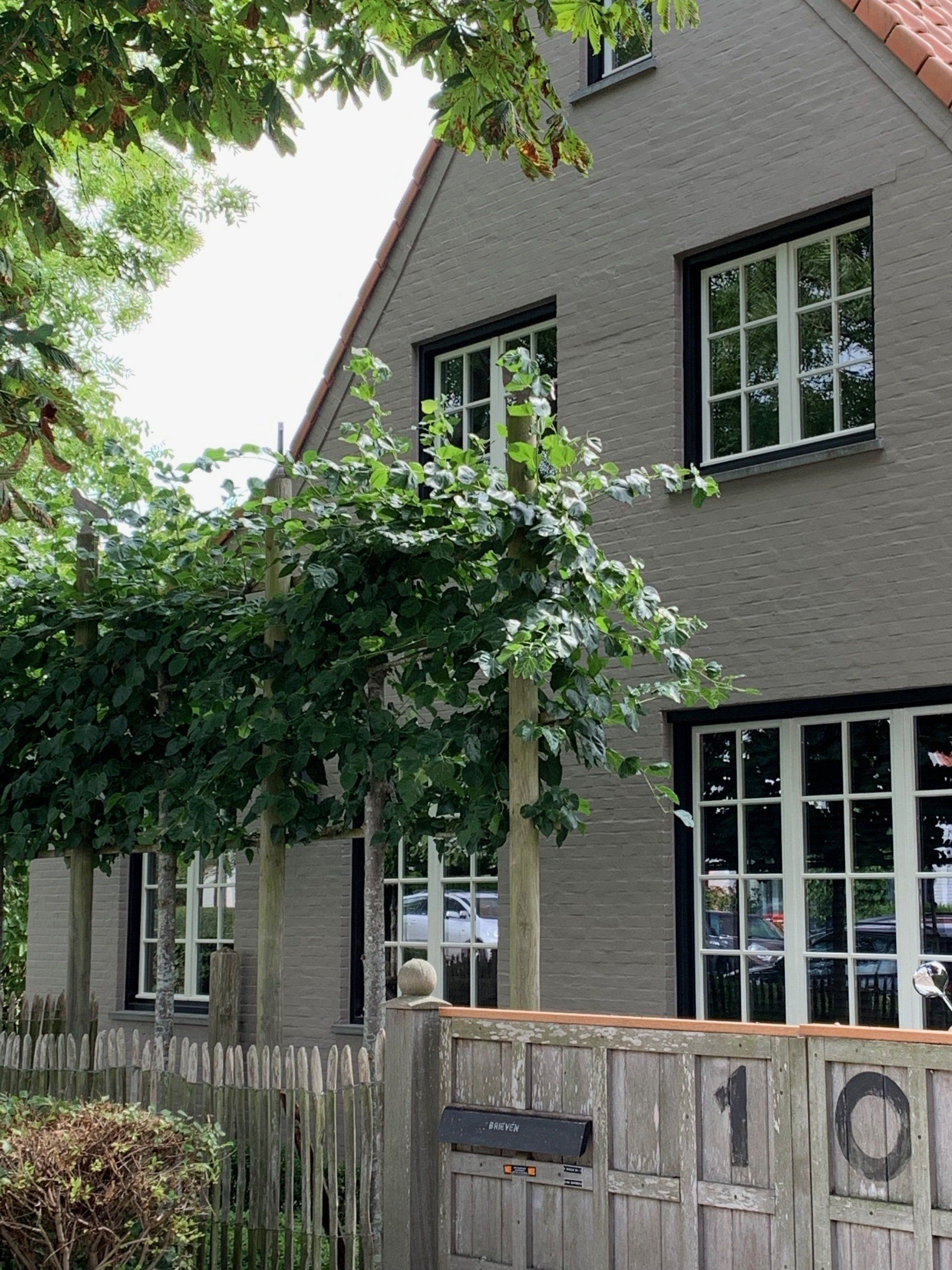 Schaffe eine harmonische Atmosphäre in deinem Zuhause