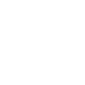Phone-Icon
