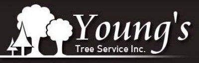 Young's Tree Service Young's Tree Service