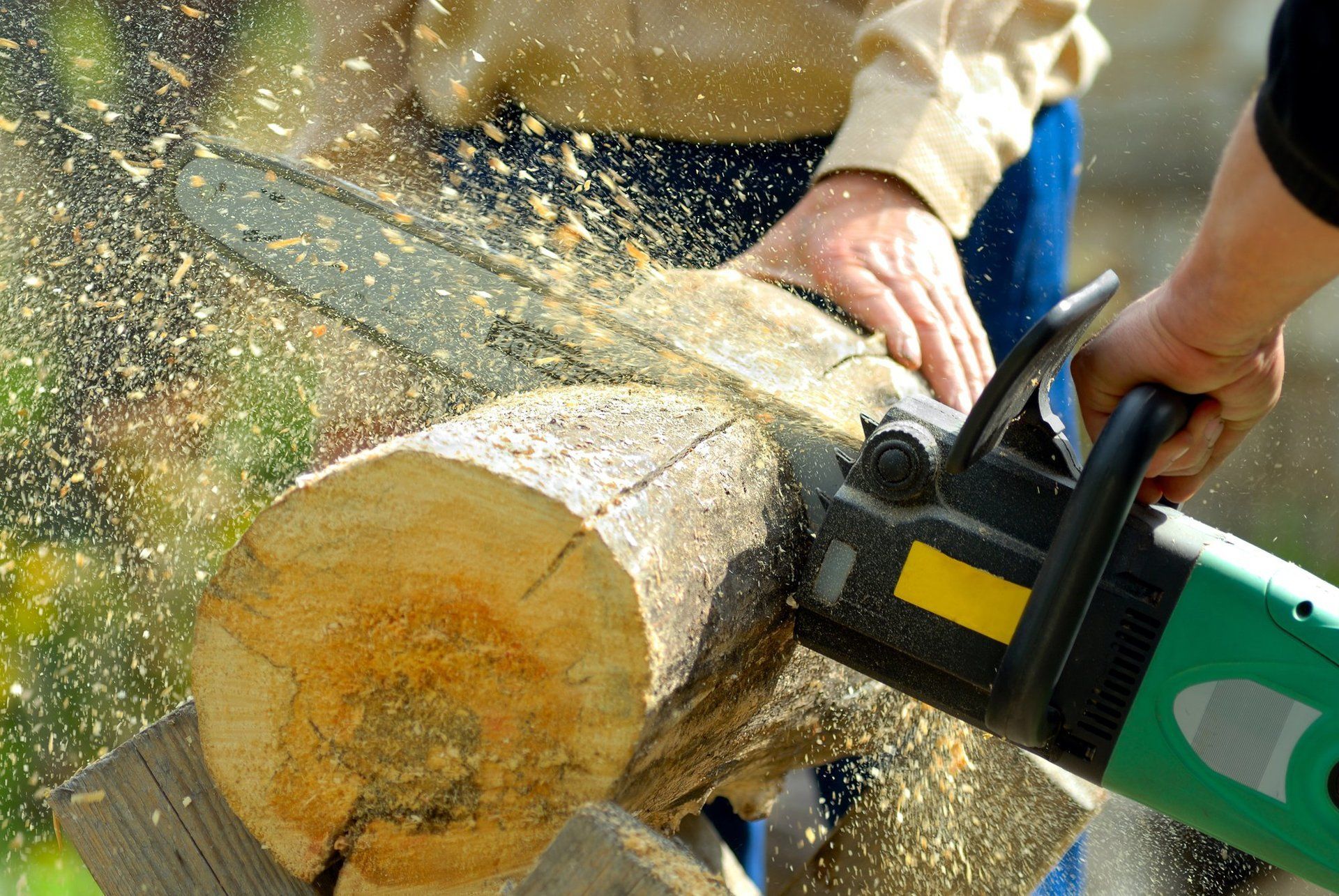 Tree Service in Klamath Falls, OR