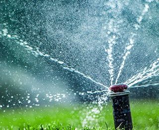 Lawn Irrigation System — Tampa, FL — Larson Plumbing Lawn Irrigation System — Tampa, FL — Larson Plumbing
