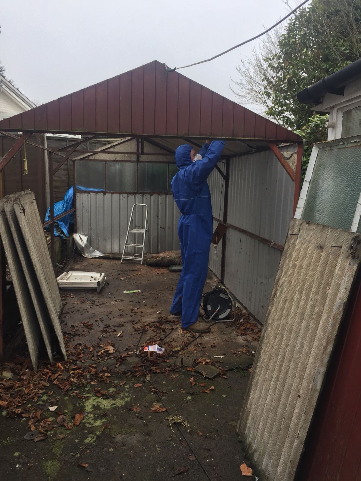 Domestic removal