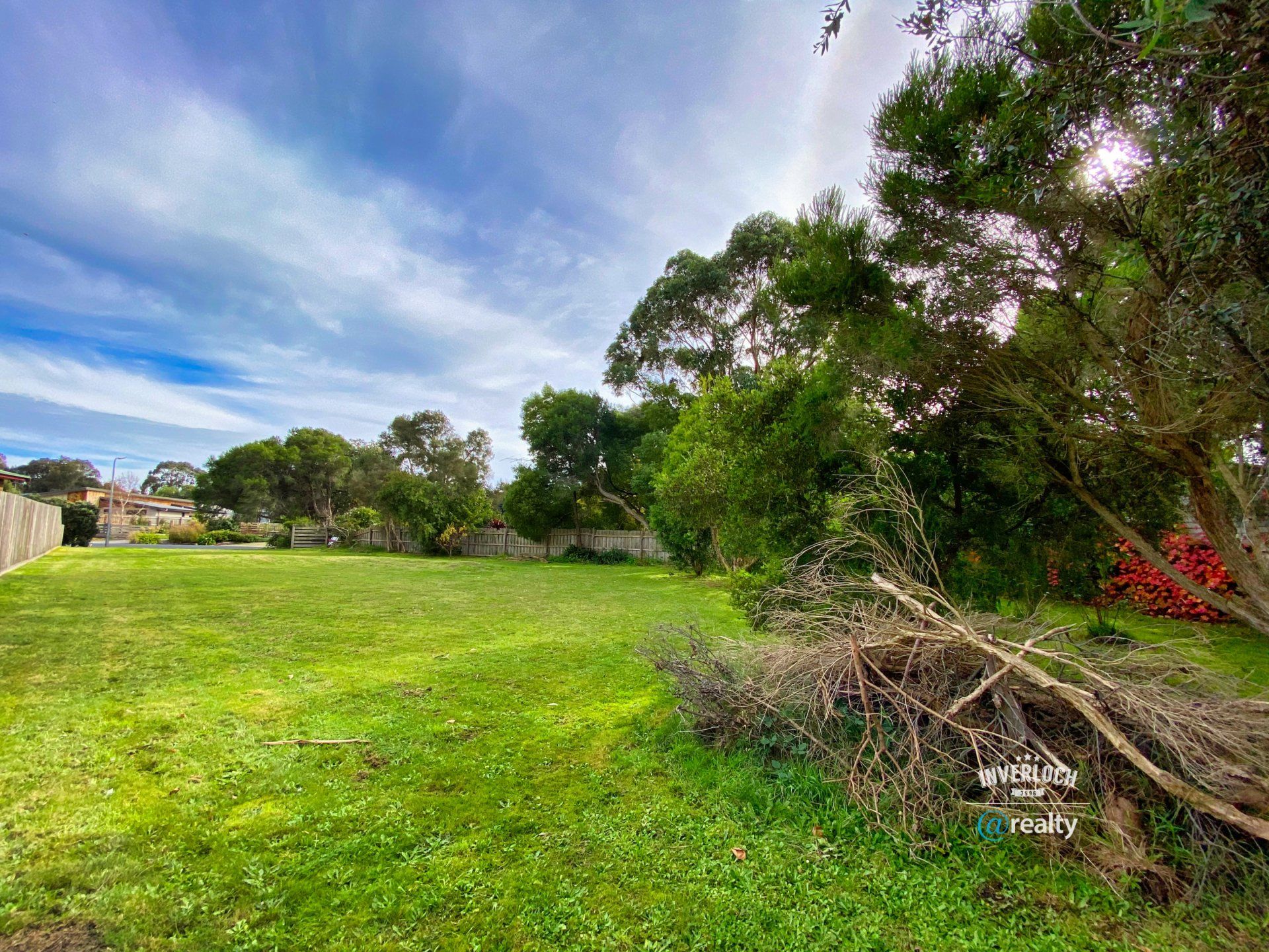 There is a lot of grass and trees in the background.