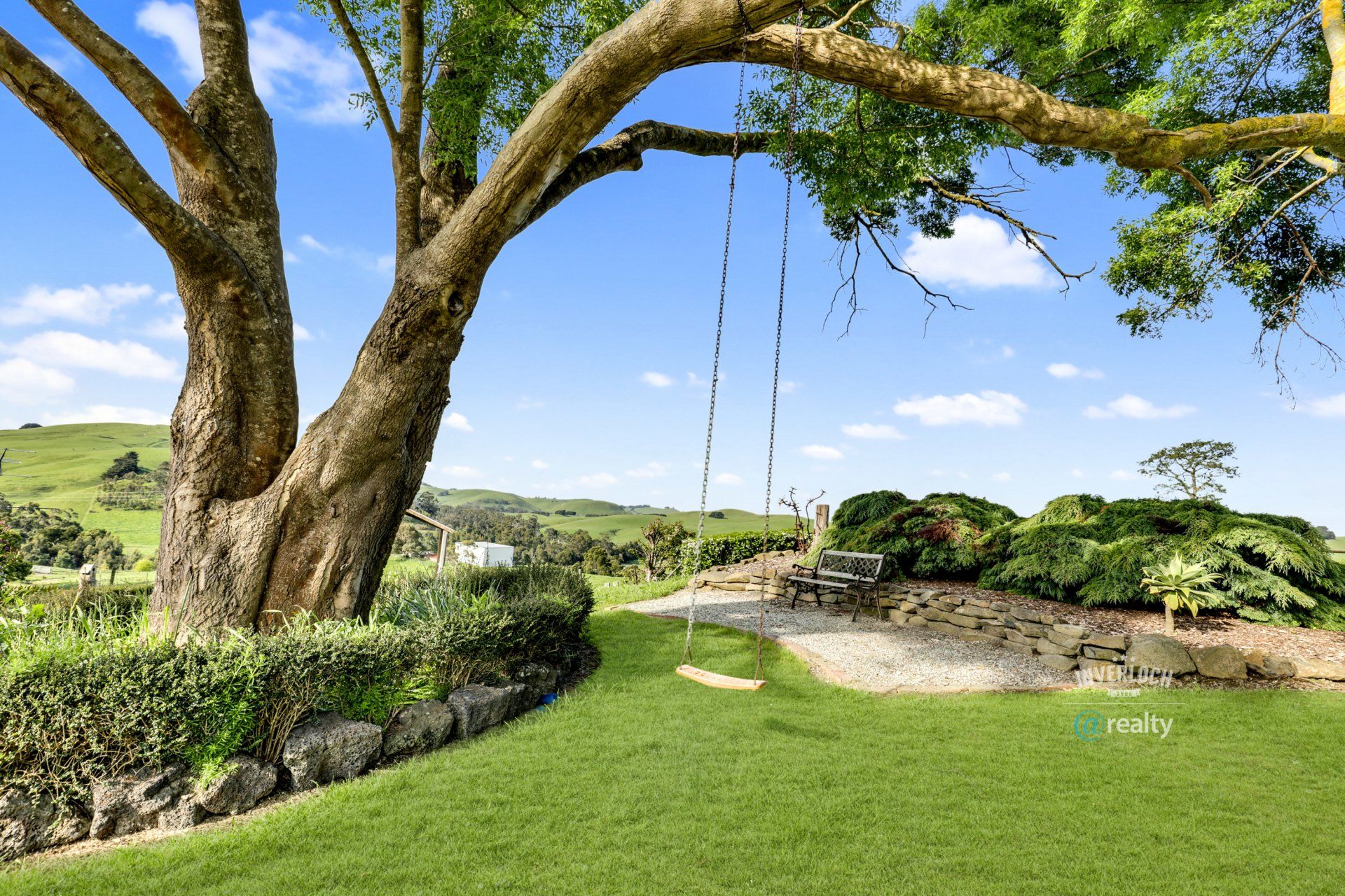 A tree with a swing hanging from it in a lush green field