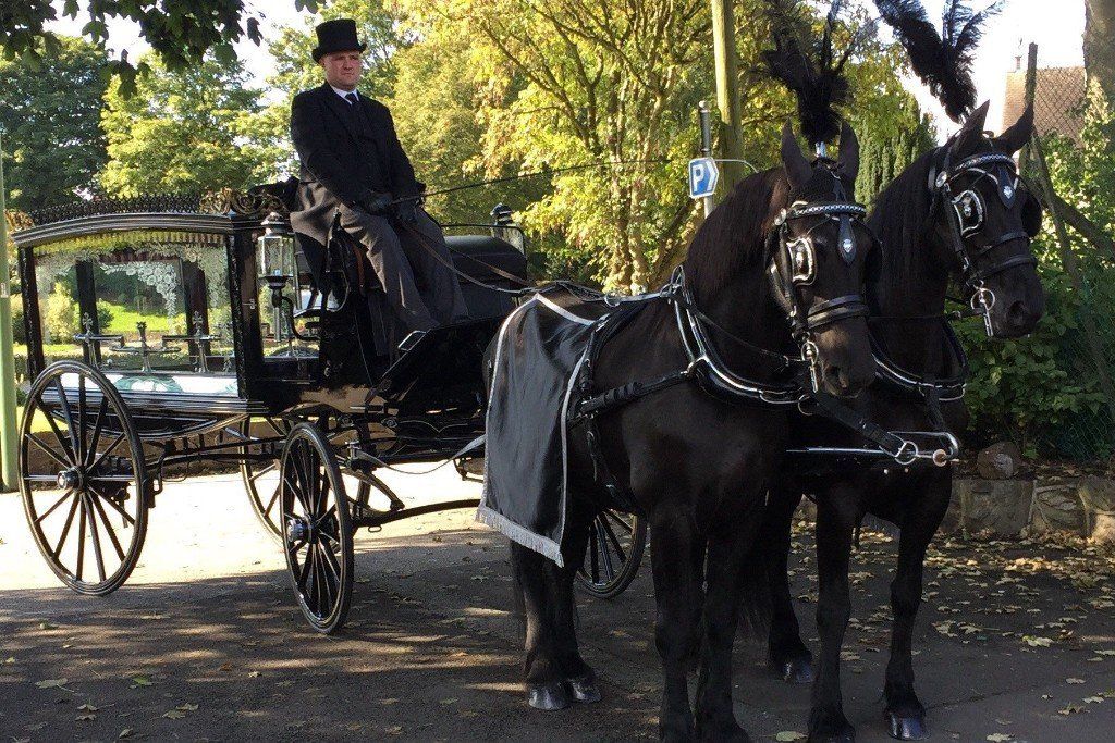 Traditional horse-drawn hearses for funerals