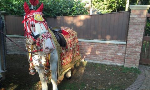 Traditional Asian weddings