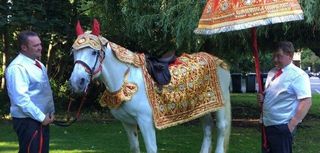 Asian Bharat horses