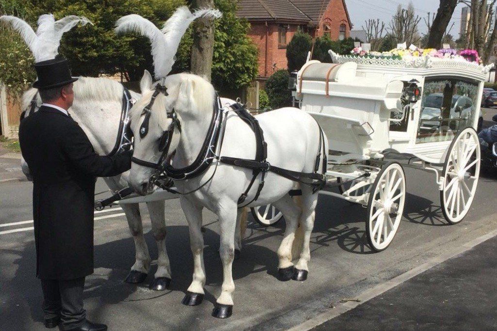 carriages with a pair of beautiful horses