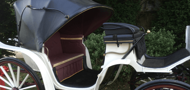 horse-drawn carriages