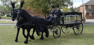 horse-drawn hearses