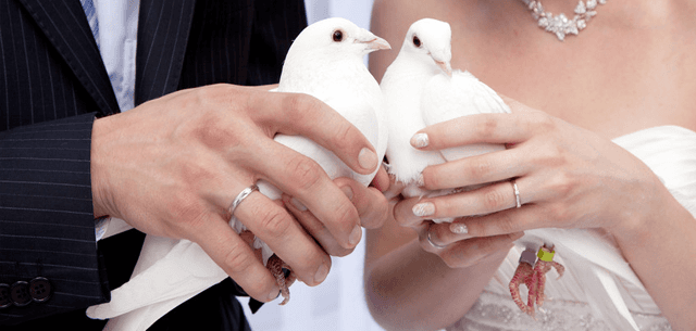 Extra wedding services