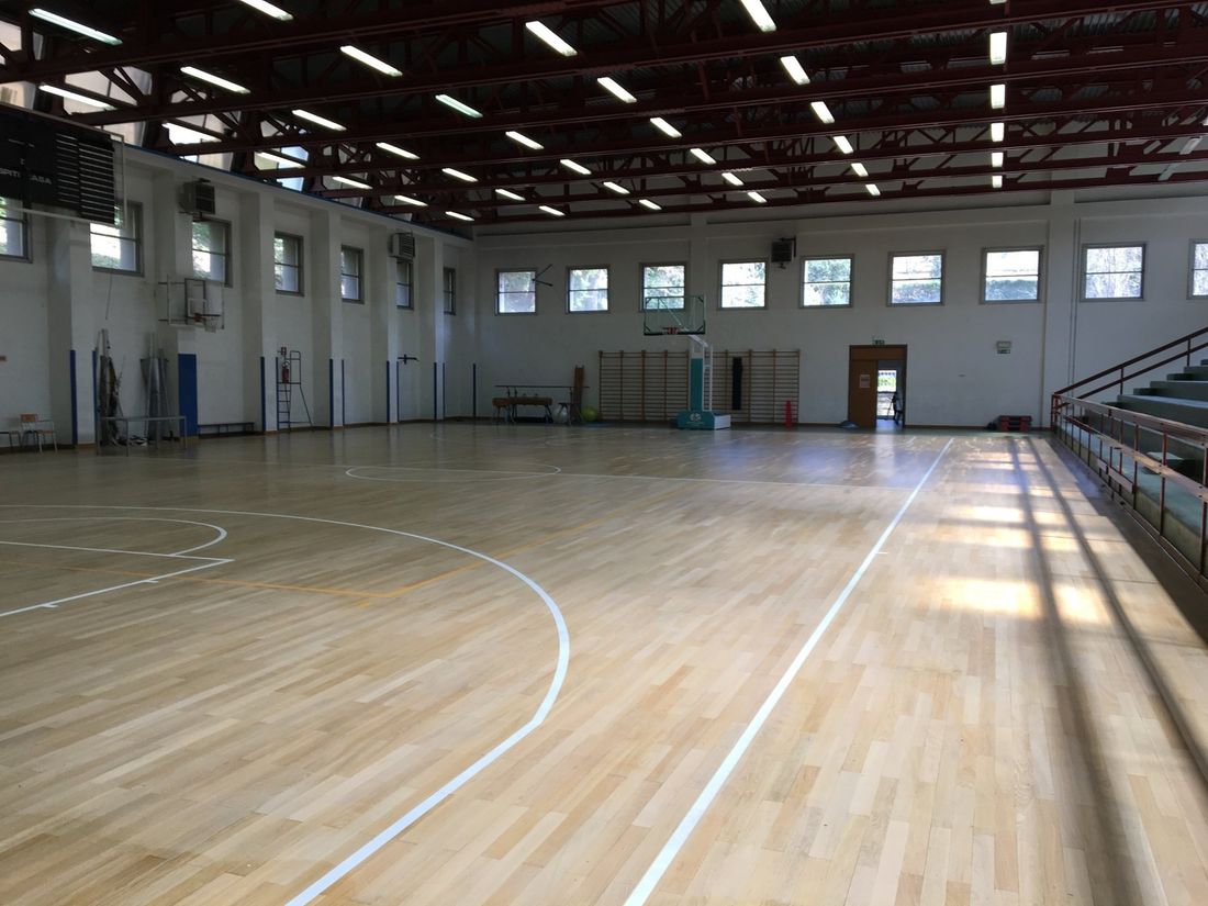 palestra