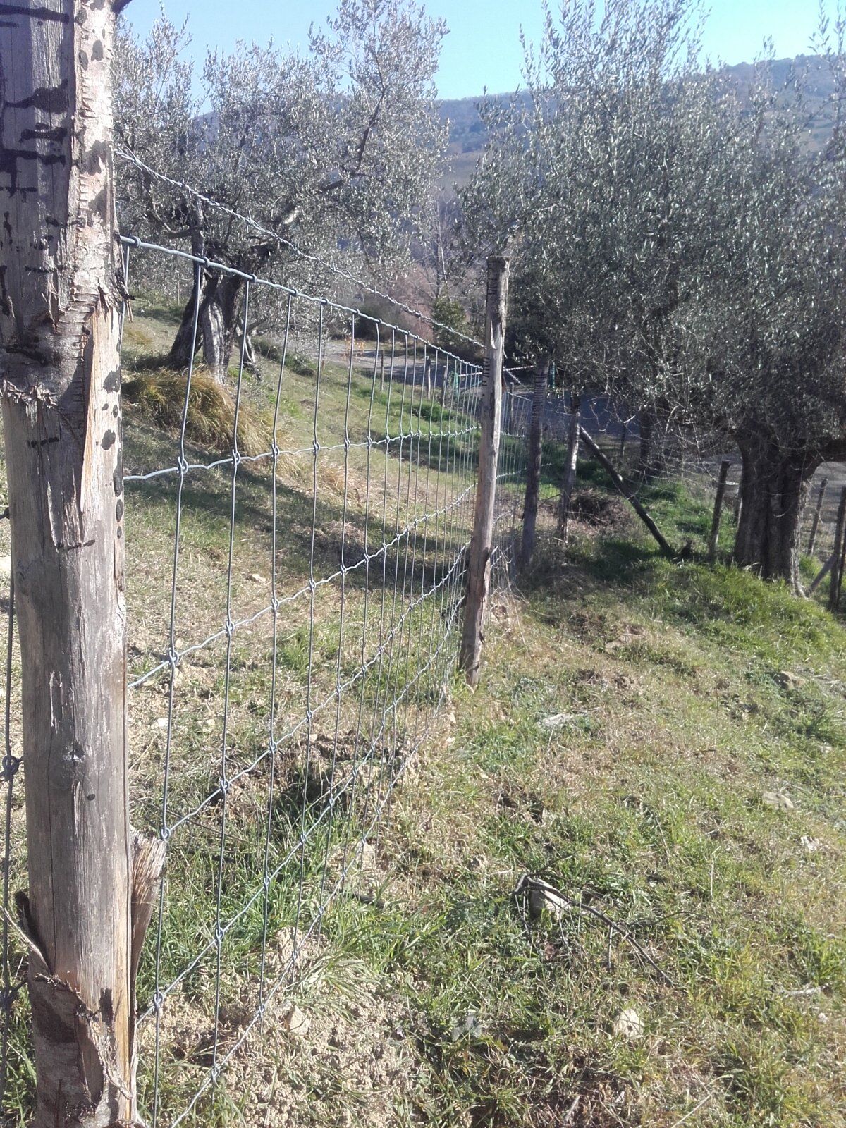 recinzioni in ferro zincato