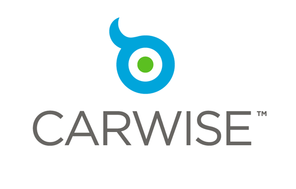 CARWISE logo with a blue and green circular icon above gray text