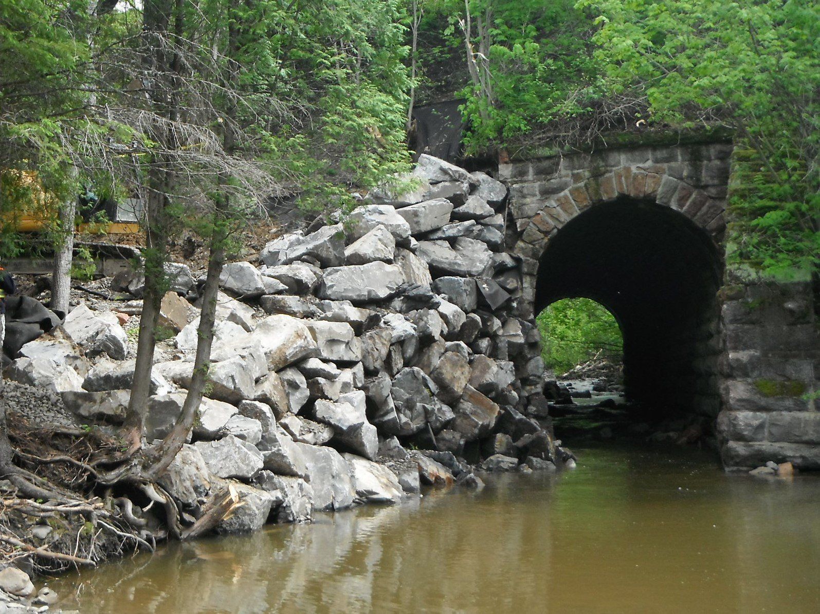 ruisseau dans une forêt