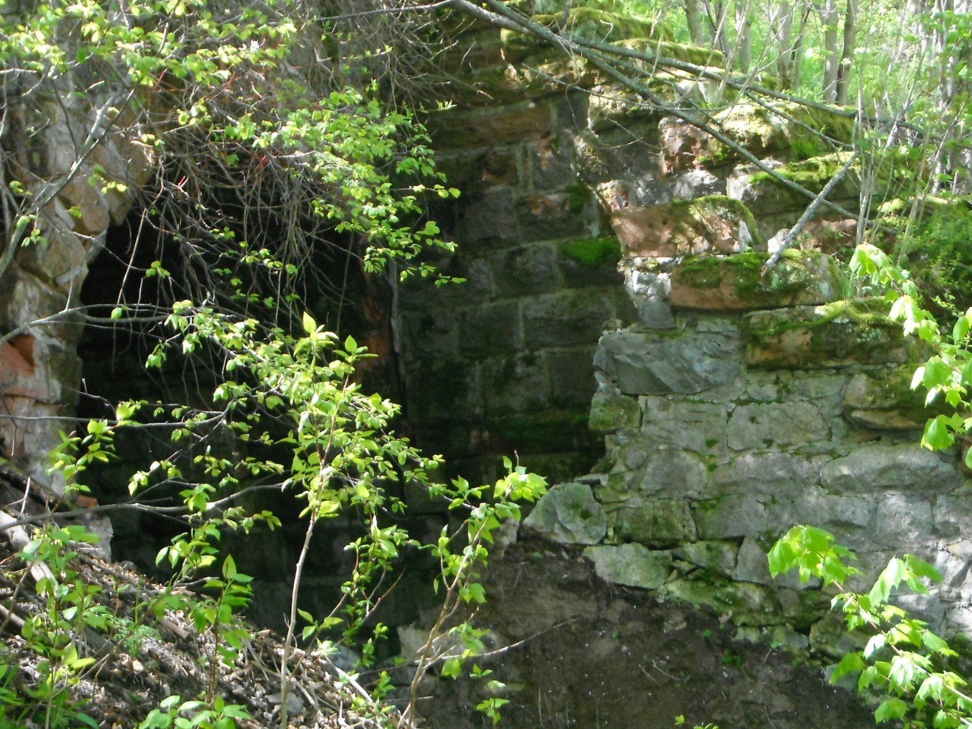 vieille fondation en blocs de pierre dans foret
