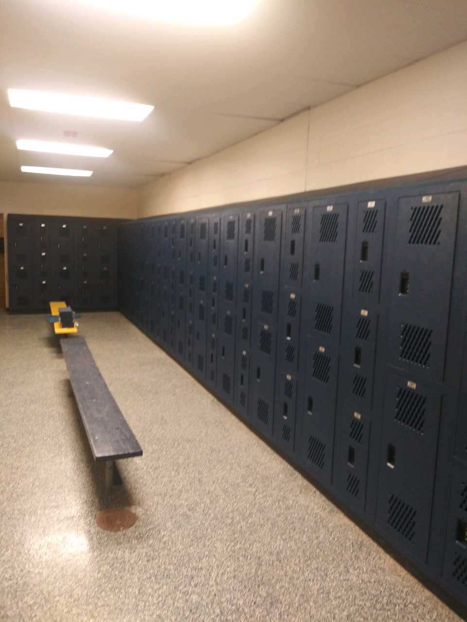 Blue lockers line a school hallway, with a wooden bench in the foreground.