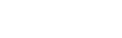 phenix city pain management