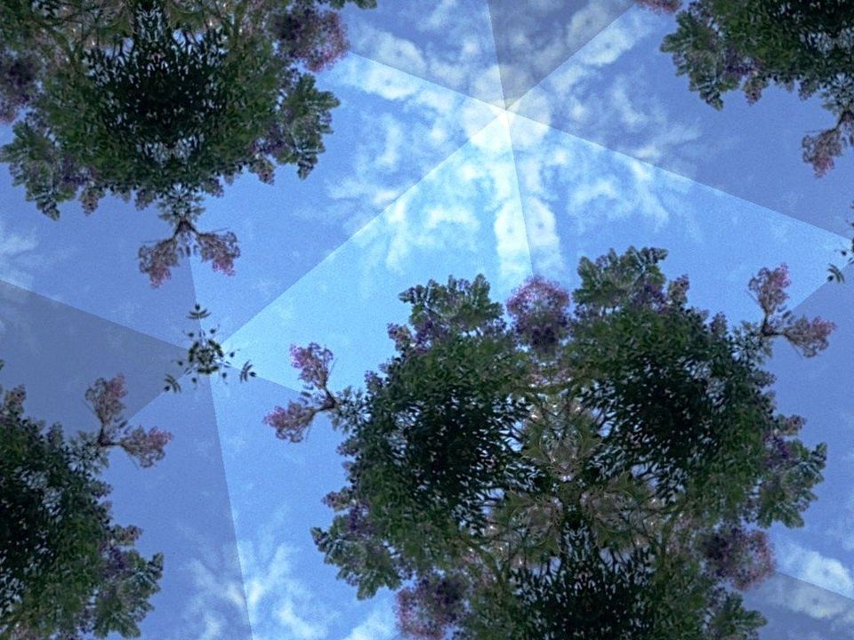 Life as a simulated reality.. Do you see the codes?