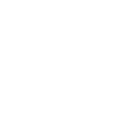 FSB logo