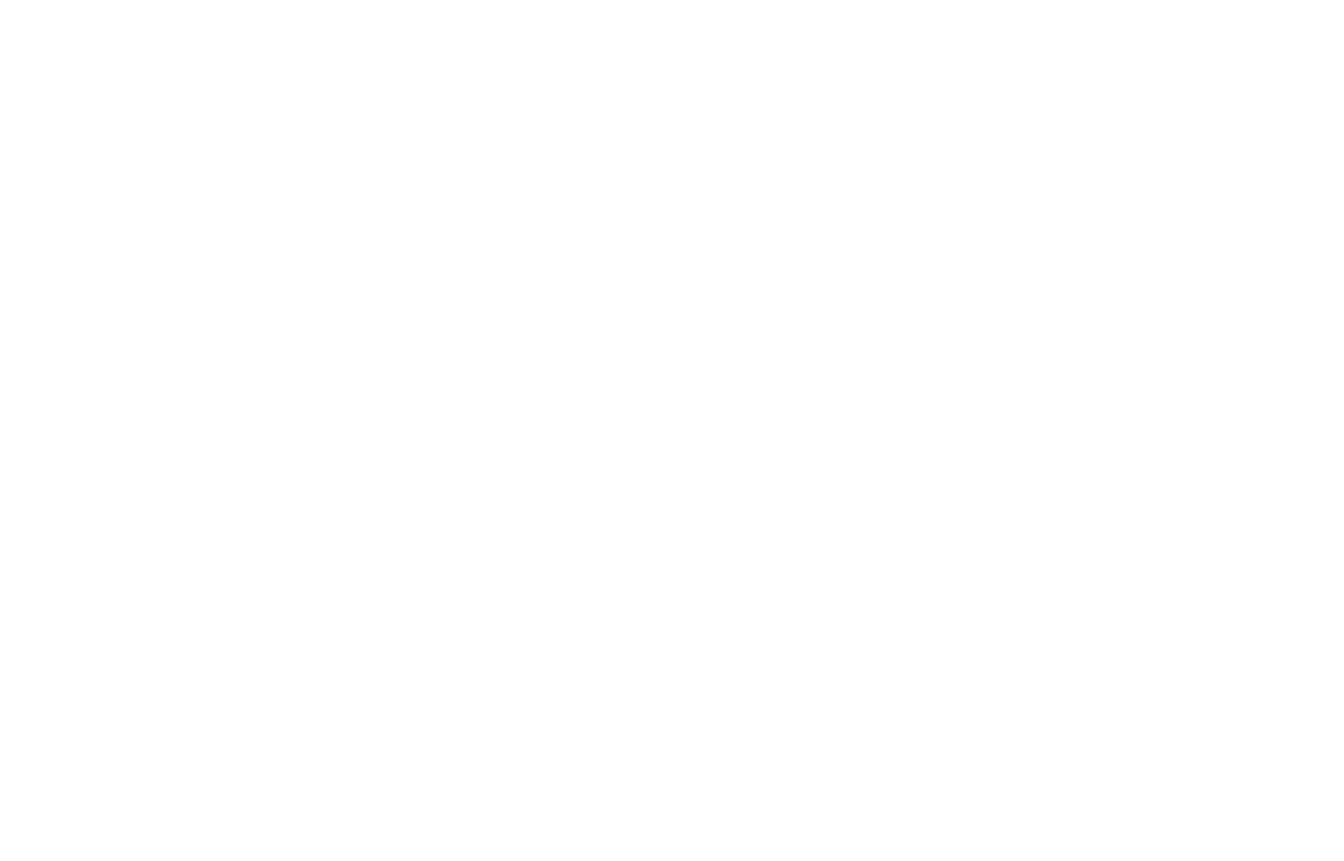 Gutshaus, Urlaub, Mecklenburg, Sternberger Seenland, nahe Schwerin Wismar und Ostsee. Ferienwohnungen in historischem Gutshaus, Urlaub mit Hund, Urlaub im Schloss