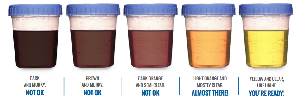 bowel preparation colonoscopy stool sample guide