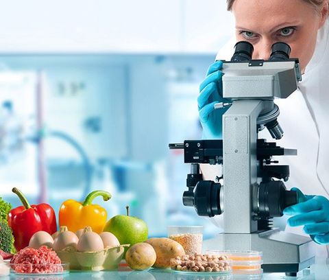 Food Quality Control — Benton County Health Department — Warsaw, MO Food Quality Control — Benton County Health Department — Warsaw, MO