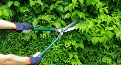 ground maintenance