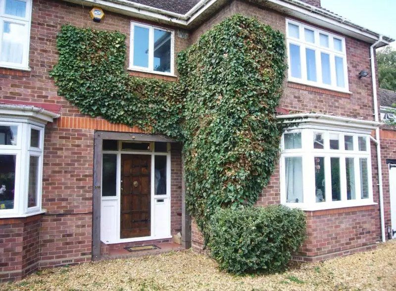 beautiful house