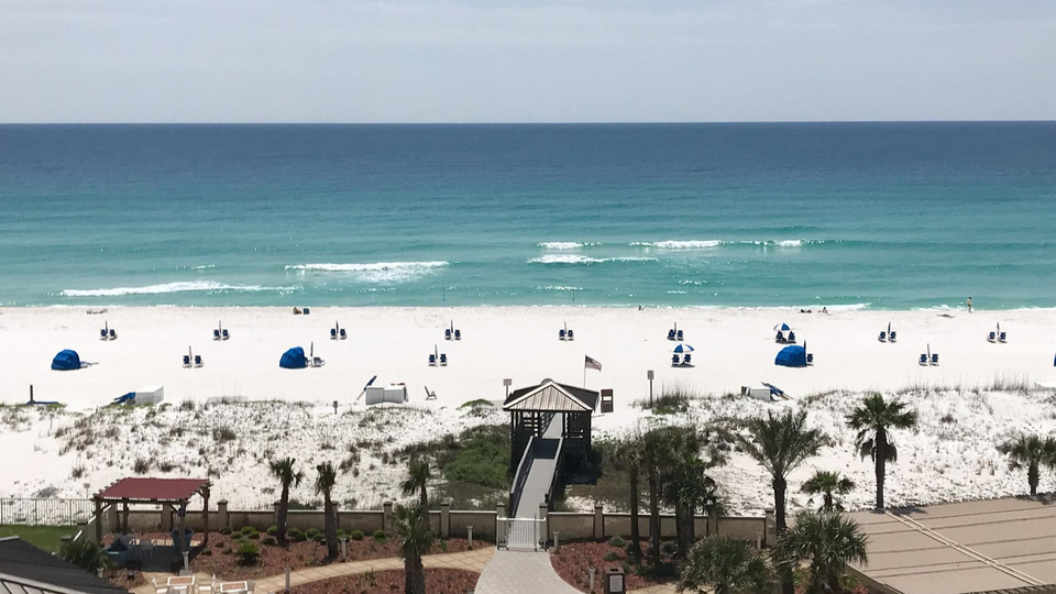 beach during the summer
