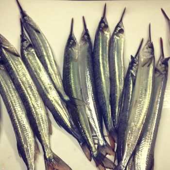 Quality fish quality fish