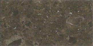 Zodiac Argo Green quartz countertop