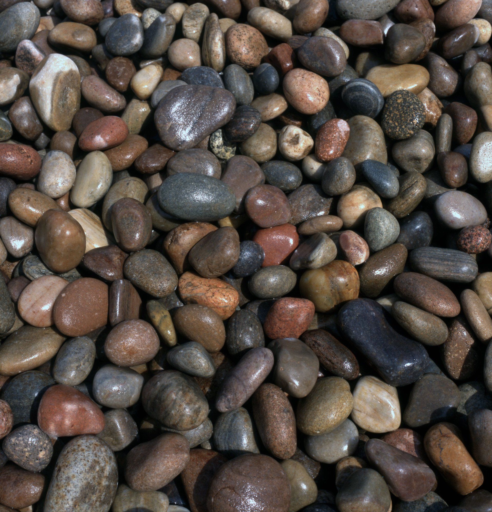 Cobbles when wet