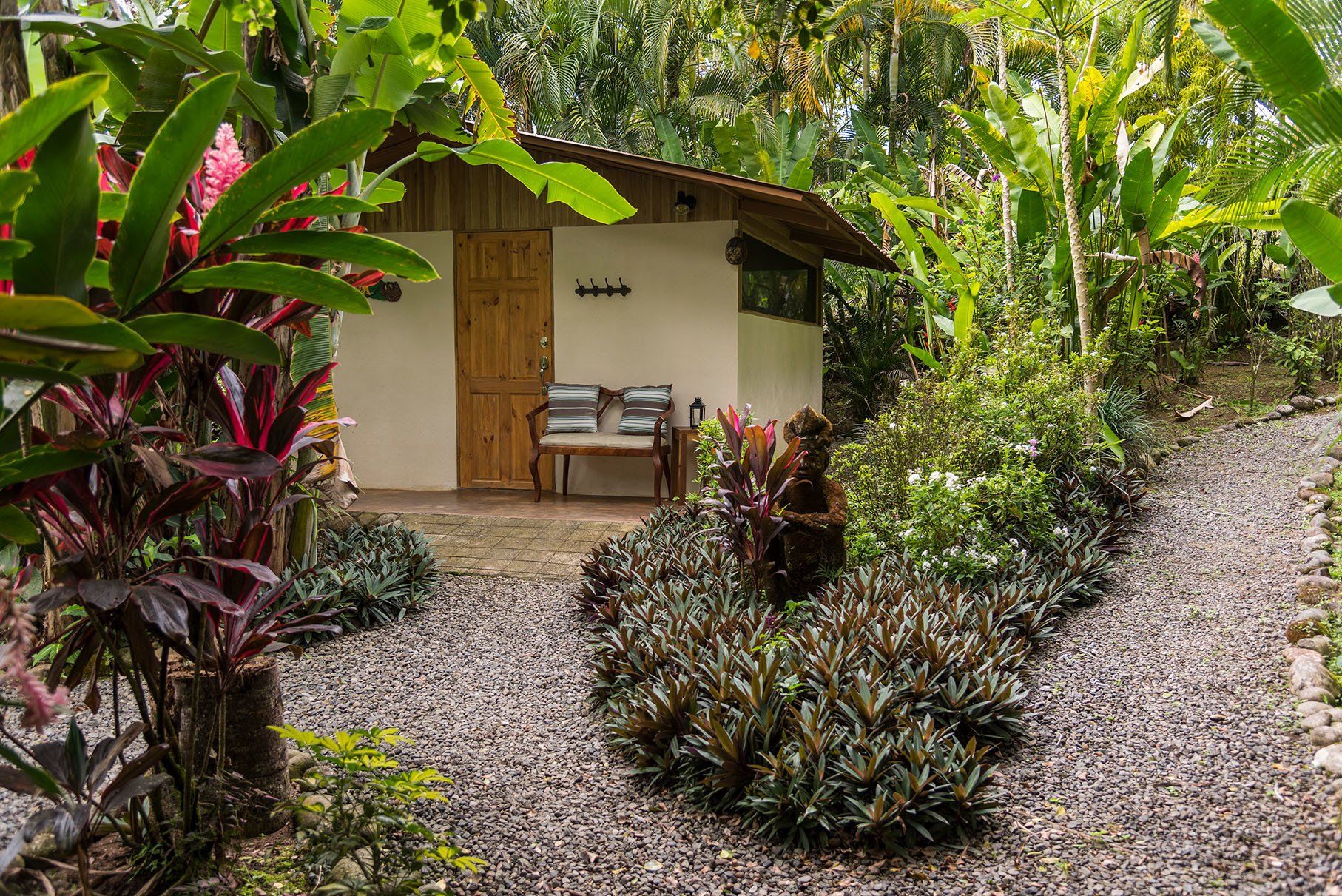a small house in the middle of a lush green forest with a bench in front of it .