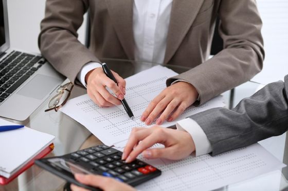 accounting professionals cross checking the report