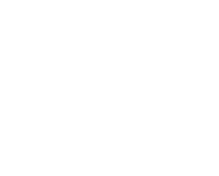 flying icon