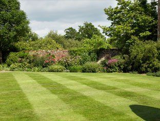 Garden makeovers