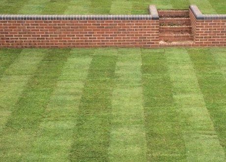 Lawn disposal