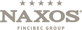 Logo del gruppo Naxos Fincibe in grigio con cinque stelle sopra il marchio denominativo
