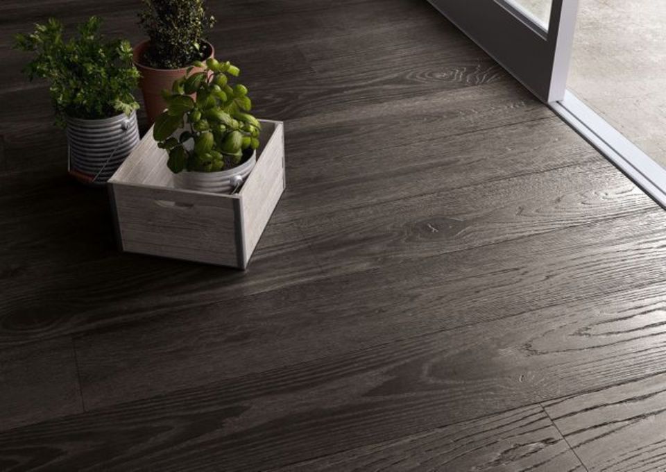 Tre piante in vaso su un pavimento in legno scuro vicino a una finestra luminosa.