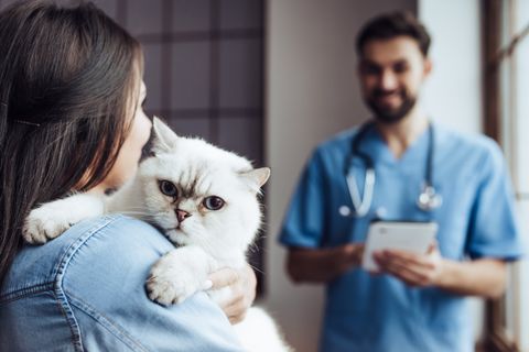 Laser Surgery — Cat Carried by Woman in Azusa, CA Laser Surgery — Cat Carried by Woman in Azusa, CA