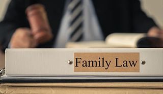 Domestic Partnership — Family Law Folder in Sacramento, CA Domestic Partnership — Family Law Folder in Sacramento, CA