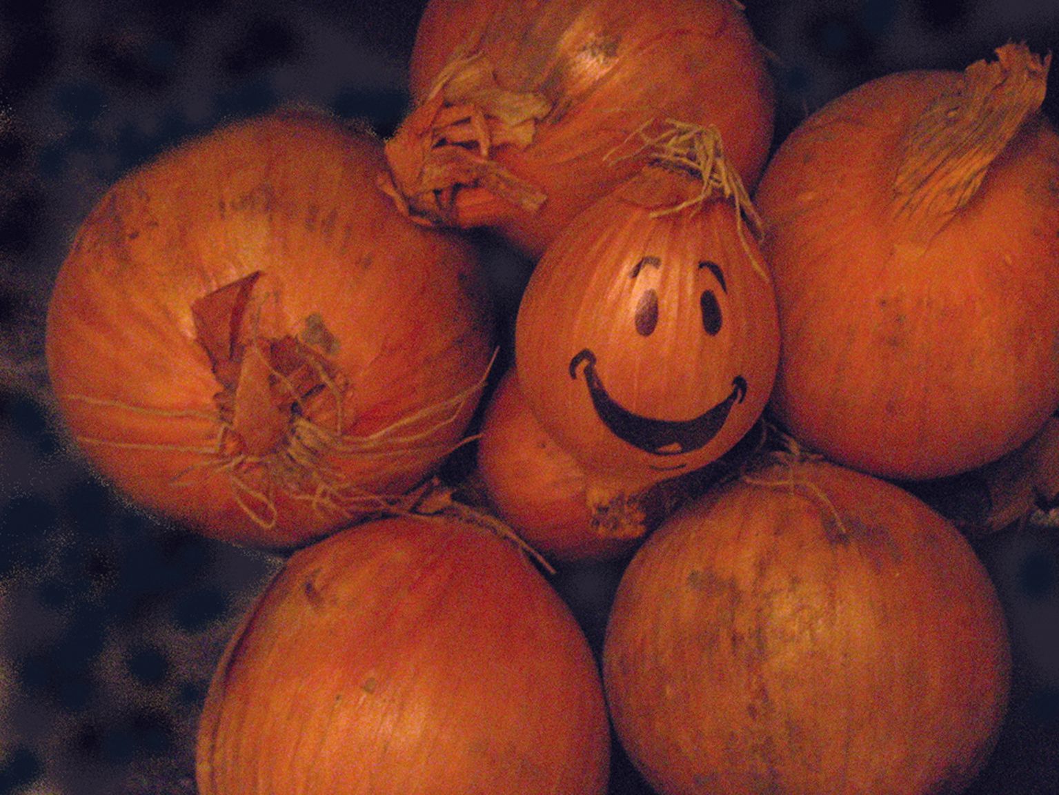 Orange onions, one with a smiling face drawn on it, piled together in close-up.