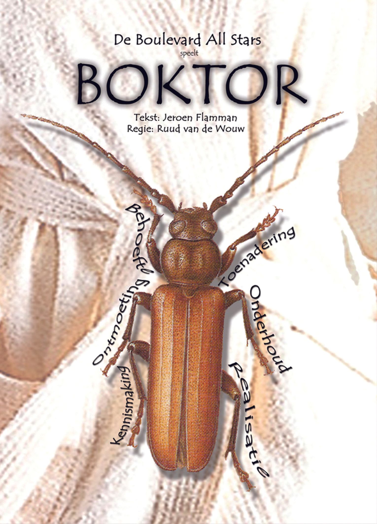 Book cover with a brown beetle on a white woven background, titled “BOKTOR”