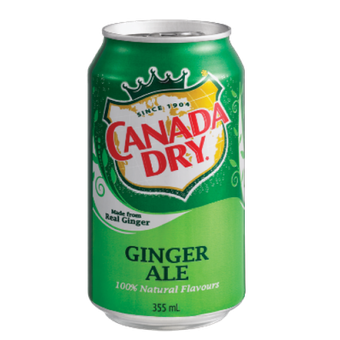 A 355mL can of Canada Dry Ginger Ale, featuring a green background and the brand's signature logo.