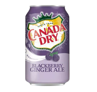 A purple Canada Dry Blackberry Ginger Ale soda can with a crown logo and two blackberries shown on the lower half.